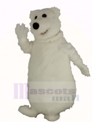 Riese Fett Polar Bär Maskottchen Kostüm