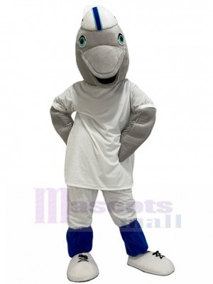 Delphin maskottchen kostüm