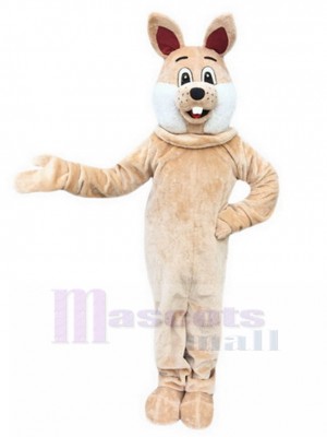 Kaninchen maskottchen kostüm