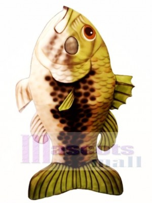 Largemouth Bass Fisch Maskottchen Kostüm Tier
