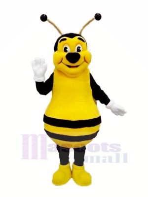 Lächelnd Biene Maskottchen Kostüme Erwachsene