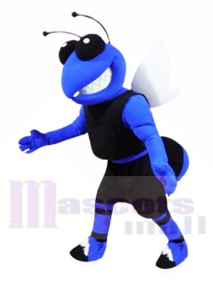 Hochschule Blaue Hornisse Maskottchen Kostüme