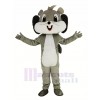 Süß Grau Eichhörnchen Maskottchen Kostüm Tier
