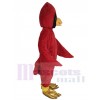 Kardinalvogel maskottchen kostüm