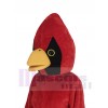 Kardinalvogel maskottchen kostüm