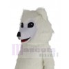 Samojede Hund maskottchen kostüm