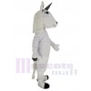 Einhorn Pferd maskottchen kostüm