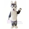 Süß Grau Heiser Hund Maskottchen Kostüme Tier
