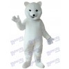 Eisbär Maskottchen Erwachsene Kostüm Tier