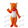 Orange Bär Maskottchen Erwachsene Kostüm Tier