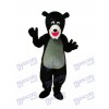 Schwarzbär Maskottchen Erwachsene Kostüm Tier