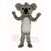Lustig Koala Erwachsene Maskottchen Kostüm