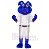 Blau Hund mit Weiß Passen Maskottchen Kostüme Tier