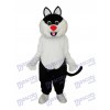 Haha Katze Maskottchen Kostüm für Erwachsene Tier