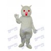 Weiße Katze Maskottchen Erwachsene Kostüm Tier