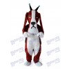 Revised Basset Dog Maskottchen Adult Kostüm Tier