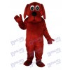 Rooney Brown Dog Maskottchen Adult Kostüm Tier
