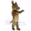 Känguru maskottchen kostüm