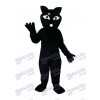 Schwarze Fox Maskottchen Erwachsene Kostüm Tier