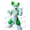 Grüner Husky Hund Maskottchen Kostüm Tier Cartoon