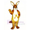 Känguru mit Joey Maskottchen Kostüm