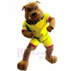 Bulldogge im Gelb Brauch Tier Maskottchen Kostüm