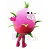 Drachen Obst Pitaya Maskottchen Kostüm Karikatur