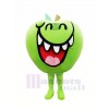 Komisch Grün Apfel Obst Maskottchen Kostüm Karikatur