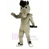 Grau Leistung Mustang Pferd Maskottchen Kostüm