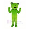 Grün Frosch Maskottchen Kostüm