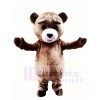 Braun Teddybär Maskottchen Kostüme Tier