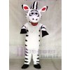 Netter Zebra Pferd Maskottchen Kostüme Tier