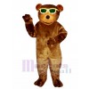 Neuer Bär mit Sonnenbrille Maskottchen Kostüm