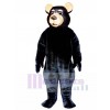 Neuer schwarzer Bär Maskottchen Kostüm Tier