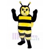 Hornisse Biene Maskottchen Kostüm