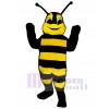 Freundliches Bienen Maskottchen Kostüm
