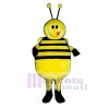 Fett Biene Maskottchen Kostüm