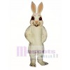 Ostern Lustig Hase Kaninchen Maskottchen Kostüm