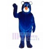 Neues blaues Bären Maskottchen Kostüm