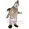 Netter Haifisch Maskottchen Kostüm