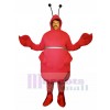 Rotes Käfer Maskottchen Kostüm