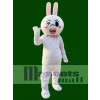 Wink Augen Cony Rabbit Bunny Maskottchen Kostüme Linie Stadt Freun