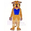 Cougar Maskottchen Kostüme mit blauem Muskel Tier