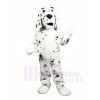 Dalmatinischer Hund Maskottchen Kostüme Tier
