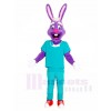 Lila Kaninchen Doktor Maskottchen Kostüme Tier Osterhase