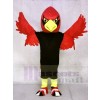 Roter Kardinal Maskottchen kostümen Vogel Tier