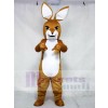 Känguru mit Joey Maskottchen Kostüme Tier