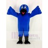 Blaues Vogel Raben Maskottchen Kostüme Tier
