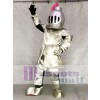 Erwachsener Ritter In Pink Armor Maskottchen Kostüme Menschen
