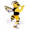Hummel Bummeln Biene Maskottchen Kostüme Insekt